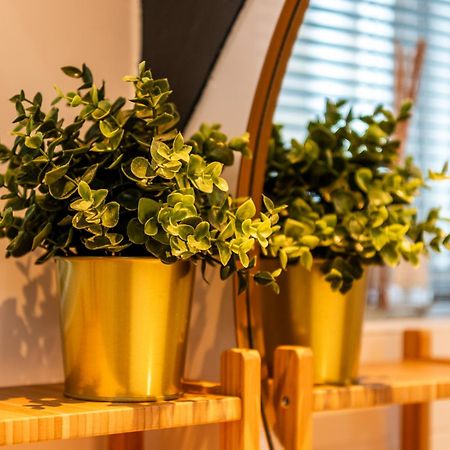 Stadsappartement Franeker 11 Ngoại thất bức ảnh